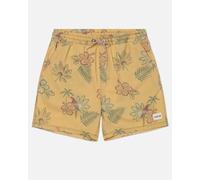 Hurley Boardshort Mens - Phantom Naturals Cannonball Volley 17"