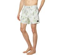 Hurley Phantom Naturals Sessions 16´´ Swimming Shorts Grey 30 Men