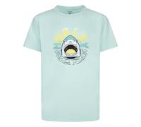 Hurley Boy's Graphic UPF 50+ Rash Guard Swim Shirt, Mint Candy Heather, 4