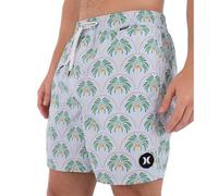 Boardshort Men - Volley icon Palm