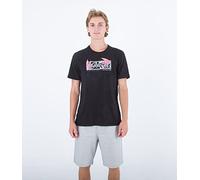 Hurley Men's Evd Flower Box T-Shirt, Black, S