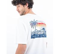 Hurley Mens Evd Throwback T-Shirt, White, S EU