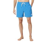 Hurley Men's OAO Solid Volley 17' Swim Briefs