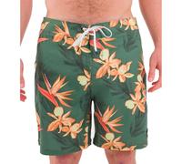 Hurley Mens Phantom-eco Classic 18" Board Shorts, Malverde 2, 28 EU