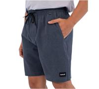Hurley Phantom Flow Volley 18´´ Shorts Grey M Men