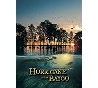 Hurricane on the Bayou