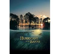 Hurricane on the Bayou