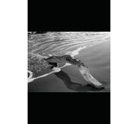 Hurt to Healing: Navigating Childhood Trauma