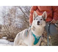 Hurtta Dog Harness Fully Adjustable Weekend Warrior Pink or green