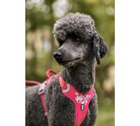 Hurtta Dog Harness Fully Adjustable Weekend Warrior Pink or green