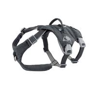 Hurtta Safeguard Eco Dog Harness (BlackBerry, Black, 65-80 cm)