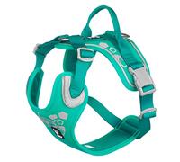 Hurtta Weekend Warrior Dog Harness for Medium Dogs, Peacock Turquoise, 60-80 cm
