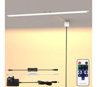 HURYEE Picture Light for Wall Plug in 24inch, Dimmable LED Art Photo Light with Remote, 3000K Warm White Wall Lights with On/Off Switch Display for Picture, Gallery, Painting, Frame (Silver)