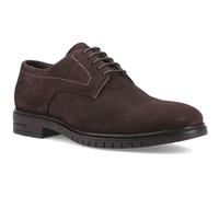 Hush Puppies Men's Sterling Suede Lace, Chocolate, 12 UK