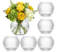 Hushee 6 Pack Clear Round Glass Vases 4” W x 3.15” H Bubble Bowl Ribbed Glass Flowers Vases for Table Centerpieces Candle Holders for Wedding Event Home Decor