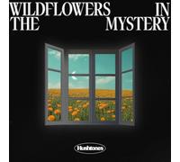 Hushtones - Wildflowers in the Mystery [VINYL]