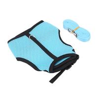 HUSHUI Adjustable Mini Pet Harness Set for Small Animals Soft Mesh Comfortable Leash for Rabbits Guinea Pigs and Chinchillas 1 Unit (Light Blue)