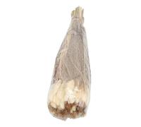 HUSHUI Artificial Pampas Grass Bouquet for Elegant Floor Vase Fillers Dried Flowers Decorative Home 100 Stems (Type 3)