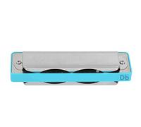 HUSHUI Blues Harmonica Professional 10 Holes Mouthorgan for Beginners and Performers ABS Resin Durable Black/White/Orange/Blue (Blue)