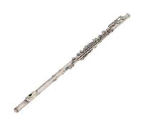 HUSHUI C Flute 16 Keys Flute for Professional Beginners Elegant Vintage Design Closed Holes White Copper (Greenish Blue Antique)