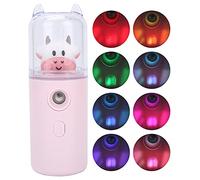 HUSHUI Cute Cartoon Facial Mist Sprayer for Moisturizing Skin At Home and Office, Handheld Nano Spray, Small Size, ABS Material (Pink)