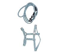 HUSHUI Japanese Style Cat Harness Leash Set Cute Adjustable Soft Chest Back Traction for Daily Walking 2.5-10kg Cloth (S)