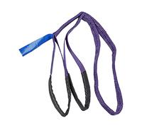 HUSHUI Lifting Slings Heavy Duty Strong Polyester Webbing Straps for Construction 1T Load Capacity Purple 1 Unit (noise（19.68ft）)