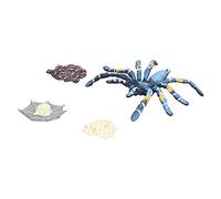 HUSHUI Spider Life Cycle Model Educational Toy for Kids Stimulating Imagination and Learning Growth Cycle for Children Above 3 Years Old