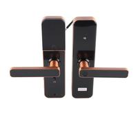 HUSHUI Wi-Fi Smart Door Lock with Multiple Unlock Methods for Home Office Security Aluminium Alloy 100 Pcs Fingerprint Capacity