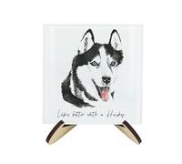 Husky Coaster Set - Life's Better With a Dog Gift - Square Glass Set of Four (4) Coasters & Wood-Effect Stand