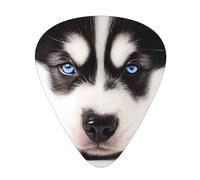 (Husky Dog) Guitar Picks Set Of 12 With Transparent Plastic Box For Bass Electric And Acoustic Guitars Ukulele