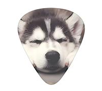 Husky Dog Guitar Plectrums 12 Pieces Set =>> Comfortable In The Hand With Smooth Edges Three Thicknesses To Match