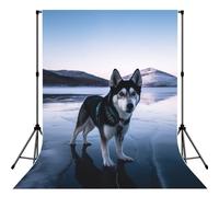 Husky Dog on a Frozen Lake Backdrop for Photography,5 x 7 ft Fabric Background Photo Backdrop Curtain Drapes Screen Collapsible Seamless Photoshoot Props for Portraits Party Video Studio