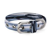 Husky Dog on A Frozen Lake Pet Collar, Adjustable Dog Collars with Buckle Stainless Steel D-Ring, Comfortable Collar for Small Medium Dogs and Cats