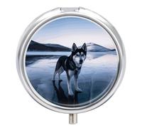 Husky Dog on A Frozen Lake Pill Case Pill Box with 3 Compartments