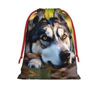 Husky Dog Pattern Print Drawstring Gift Bag,Party Gift Bags,Reusable Christmas Drawstring Wrapping Bags