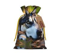 Husky Dog Pattern Print Drawstring Gift Bags,For Holiday Season,Birthdays,Anniversaries And Any Special Occasion