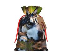 Husky Dog Pattern Print Drawstring Gift Bags,For Holiday Season,Birthdays,Anniversaries And Any Special Occasion