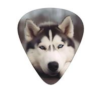Husky Dog Print Guitar Pick Comfortable Feel, Clear Sound, Multiple Thicknesses For Varied Tones