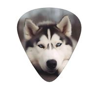 Husky Dog Print Guitar Picks 12-Pack - Assorted Thickness Picks (0.46mm, 0.71mm, 0.96mm) with Storage Box & Assorted Unique Design for Acoustic, Electric, Bass, and Ukulele Players