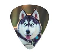 Husky Dog Print Organizer Storage Box Different Thickness Guitar Picks For Acoustic Guitar