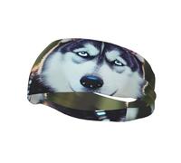 Husky Dog Print Sports Sweatband Stretchy Breathable And Moisture Wicking Headband For Running