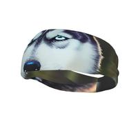 Husky Dog Print Style Functionality Sports Sweatband For Men Women Stretchy Breathable Headband