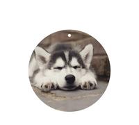 Husky Dog Printing 10 Pcs Car Air Freshener Fragrant Sheets,Car Hanging Accessories With Strings For Decor