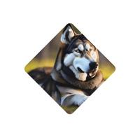Husky Dog Printing 10 Pcs Car Air Freshener Fragrant Sheets,Car Hanging Accessories With Strings For Decor