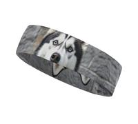 Husky Dog Workout Headband for Men and Women Moisture Wicking Headband for Tennis, Basketball, Running, Gym Outdoor Sports Sweatband