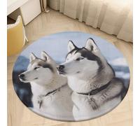 Husky Dogs Area Rug Washable Round Rug Carpet Soft Non-Slip TPR Bottom Door Mat Low Pile Waterproof Floor Carpet Print Mat Decor for Bedroom Living Room Bathroom 80 * 80cm