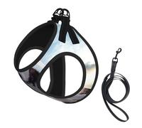 Husky Dogs print Dog Harness and Leash Set, Reflective Adjustable Puppy Vest for Small Medium Large Dogs, Cats