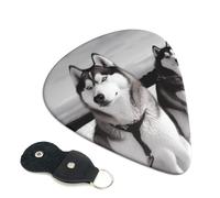 Husky Dogs Snow 6 Pack Guitar Picks With Holder, Personalized Guitar Plectrums Non-Slip Portable Ukulele Bass Picks 0.96mm For Acoustic Guitar Lovers Gifts