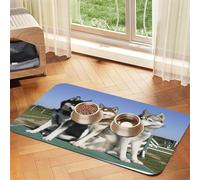 Husky Huskie Dogs,Waterproof Pet Feeding Mat,PU Leather Placemats for Cat Dog Water Bowl,Food Mats,40x60cm